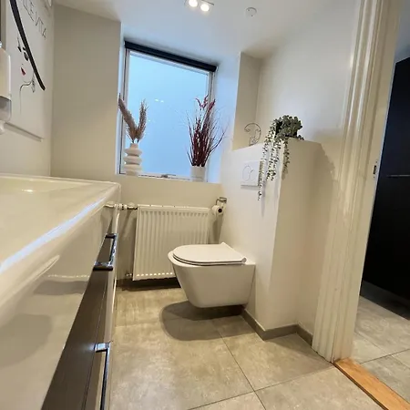 Apartmán Elegant In *